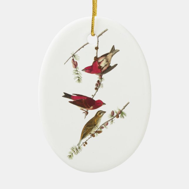 Lila Finch von Audubon Keramikornament (Vorne)
