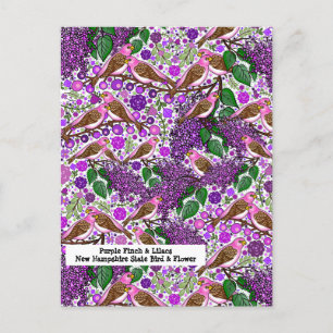 Lila Finches, Lilacs - NH Staat Bird und Blume Postkarte