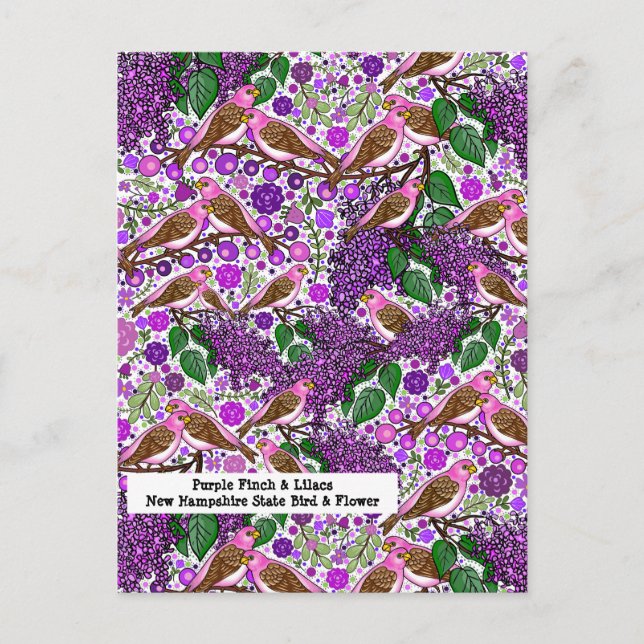 Lila Finches, Lilacs - NH Staat Bird und Blume Postkarte (Vorderseite)