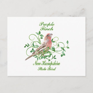 Lila Finish New Hampshire Staat Bird Postkarte