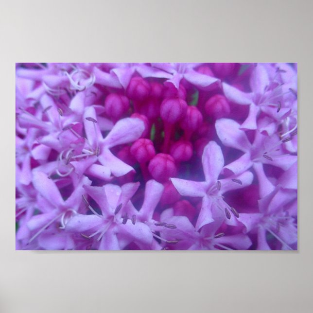 Lila Fläche Poster (Vorne)