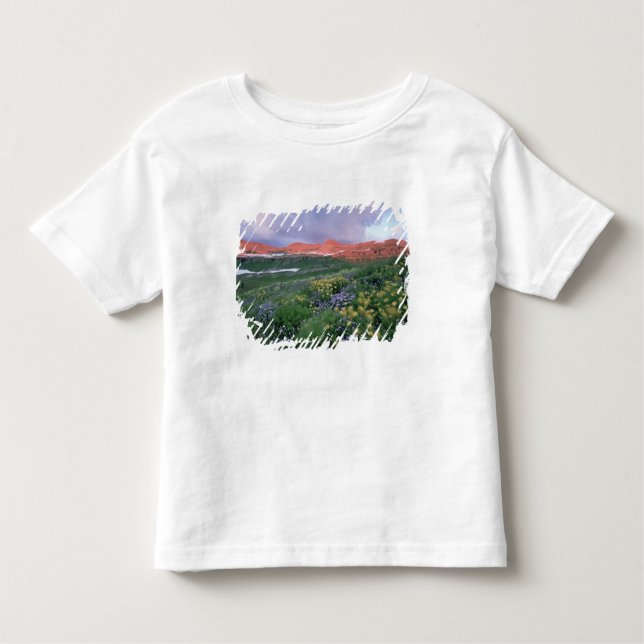 Lila Fleaban (Erigeron peregrinus) und Gelb Kleinkind T-shirt (Vorderseite)