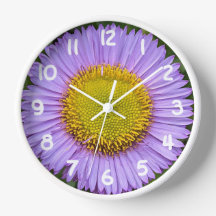 Lila Fleabane Daisy mit weißen Zahlen, floral
