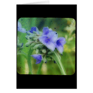 Lila Floral TTV