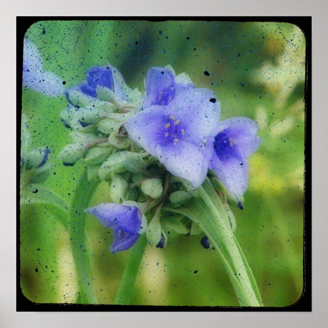 Lila Floral TTV Poster (Vorne)