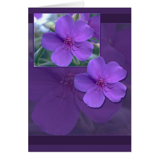 Lila florale Elegance (Vorne)