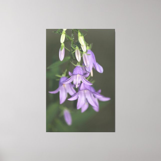 Lila florale Leinwand (Vorderseite)