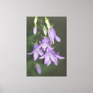 Lila florale Leinwand