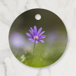 Lila Foto der Windblumen Geschenkanhänger