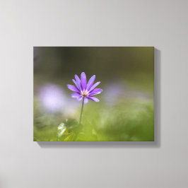 Lila Foto der Windblumen Leinwanddruck