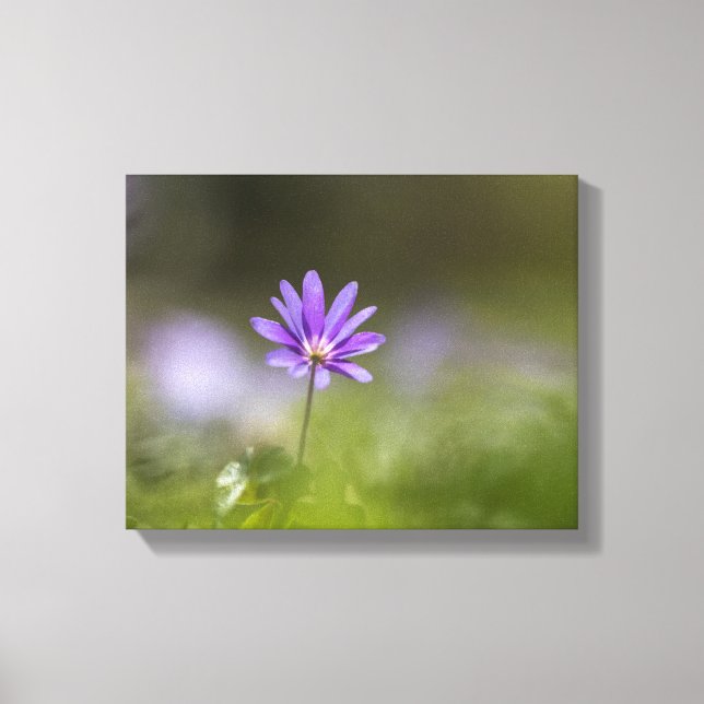 Lila Foto der Windblumen Leinwanddruck (Vorderseite)