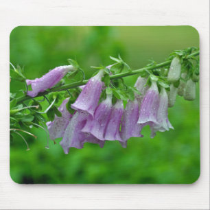 Lila Foxglove-Blume Mousepad