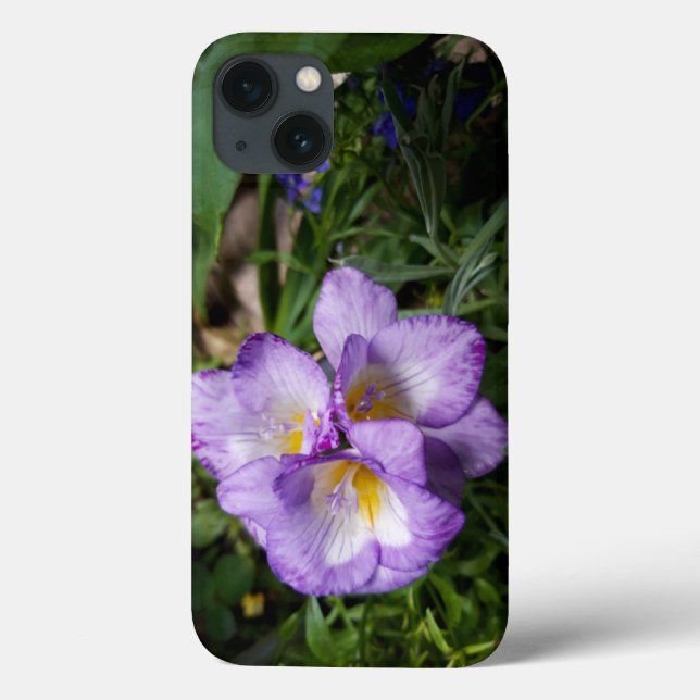 Lila Freesia Blume Case-Mate iPhone Hülle (Rückseite)