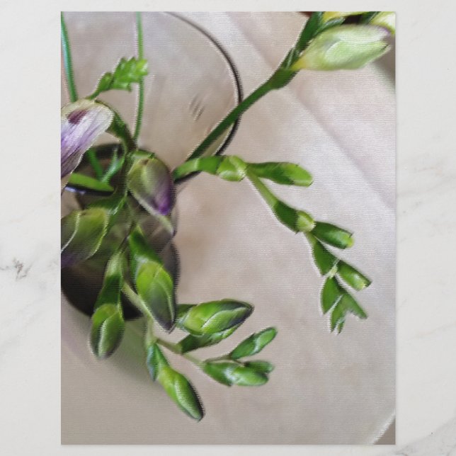 lila Freesia-Knospen (Vorderseite)