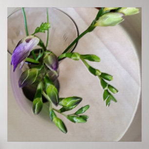 lila Freesia-Knospen Poster