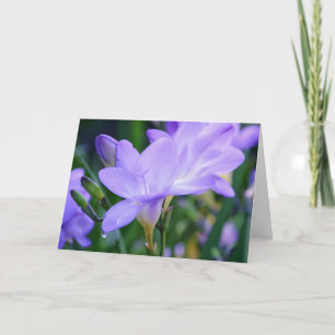 Lila Freesia und Dew Drop Art Note Card Karte