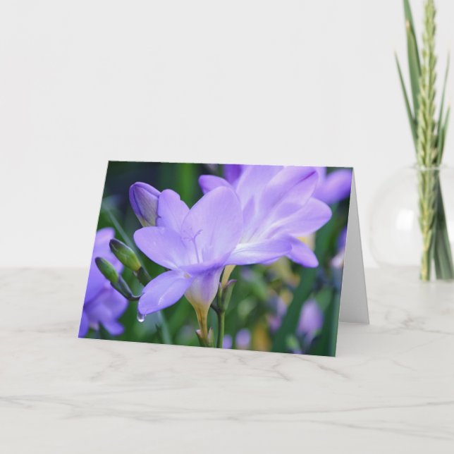 Lila Freesia und Dew Drop Art Note Card Karte (Vorderseite)