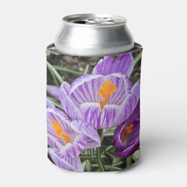 Lila Frühjahrskuken. Dosenkühler (Kanne Vorderseite)