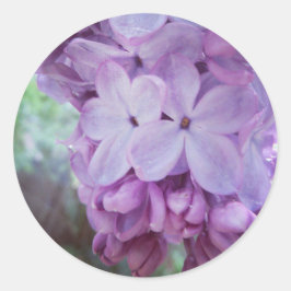 Lila Frühling Runder Aufkleber