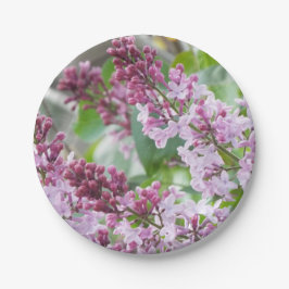 Lila Frühlingspapier Teller