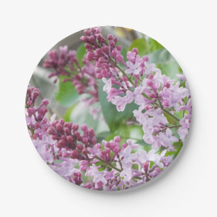 Lila Frühlingspapier Teller