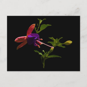 Lila Fuchsia-Blume Postkarte