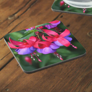 Lila Fuchsia mit rosa Sepalen Getränkeuntersetzer