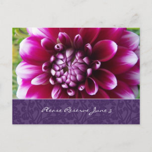 Lila Fuschia Dahlia Save the Date Ankündigungspostkarte