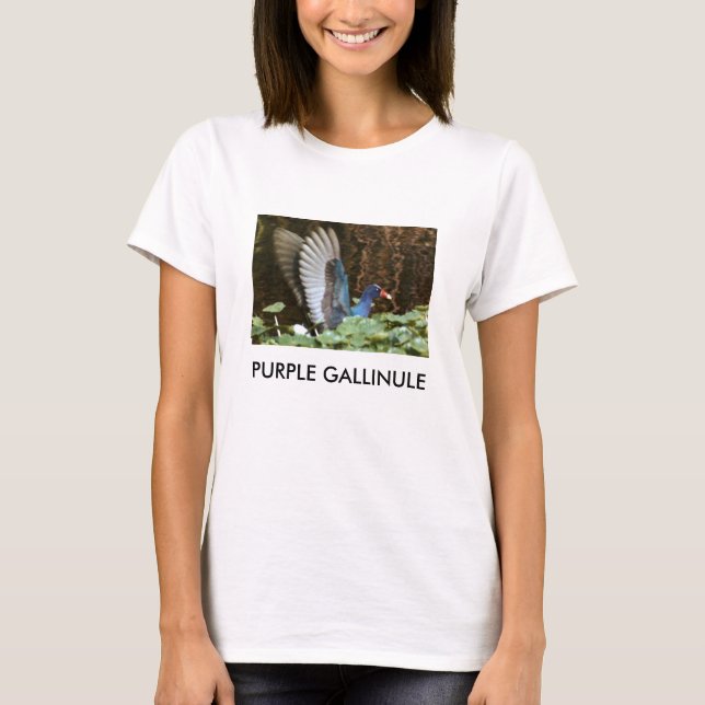 LILA GALLINULE T-Shirt (Vorderseite)