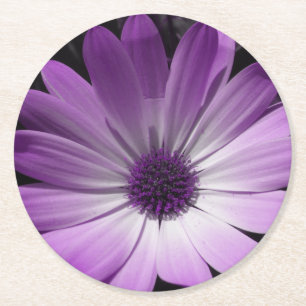 Lila Gänseblümchen-Blumen-Papierserviettenhalter Runder Pappuntersetzer