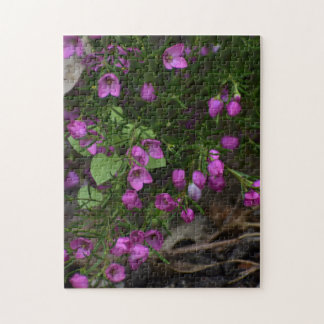 Lila Garten – Eine Blüte im Fokus Puzzle