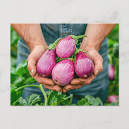 Lila Gärten im Bio Garten Feiertagspostkarte