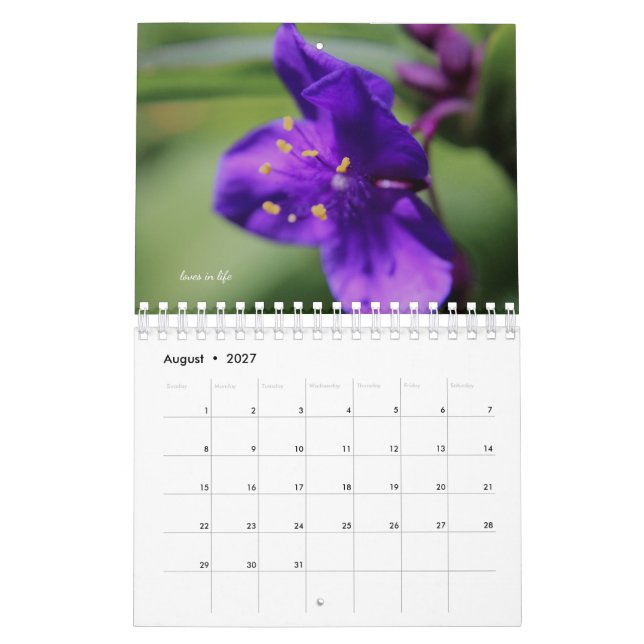 Lila Gartenblumen Kalender (Aug 2027)