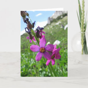 Lila GebirgsWildblume-Anmerkungs-Karte Karte