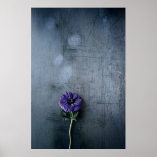 Lila gebogene Blume auf grauer Oberfläche Poster