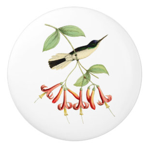 Lila gekrönter feenhafter Kolibri Keramikknauf