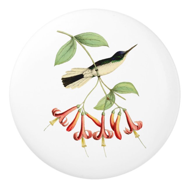 Lila gekrönter feenhafter Kolibri Keramikknauf (Vorderseite)