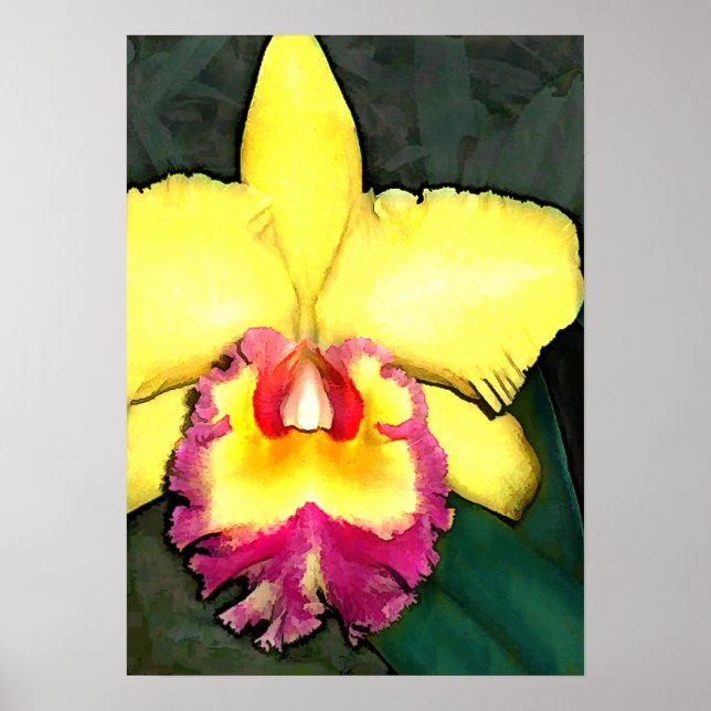 Lila & gelb Cattleya Orchid Poster (Vorne)