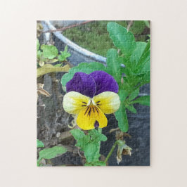 Lila-Gelb-Pansy-Puzzle Puzzle