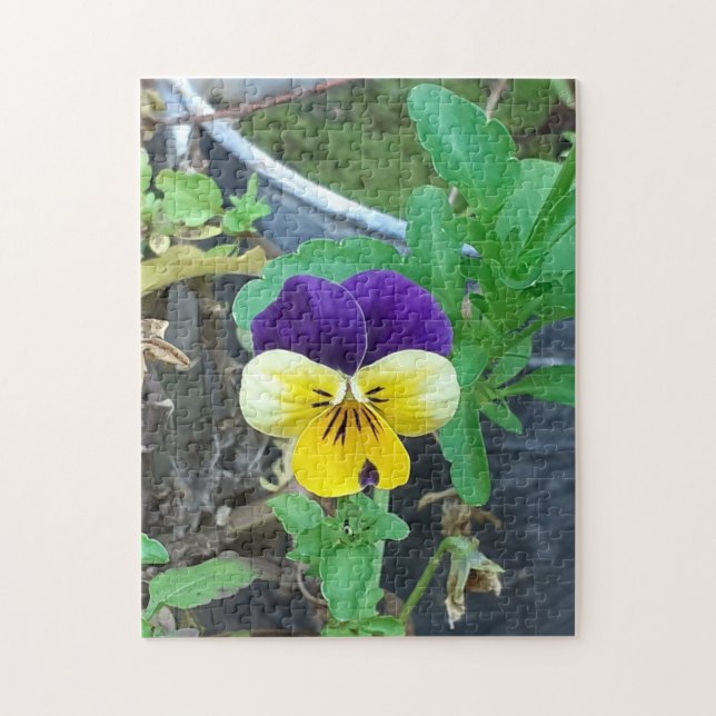 Lila-Gelb-Pansy-Puzzle Puzzle (Vertikal)