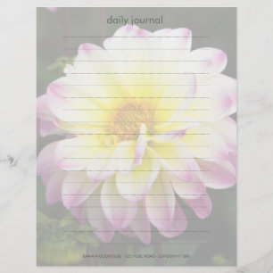 Lila, gelb und weiß Dahlia