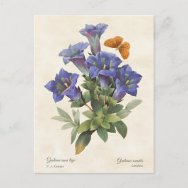 Lila Gentian Vintage botanische Illustration Postkarte