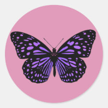 Lila Gepunkteter Schmetterling