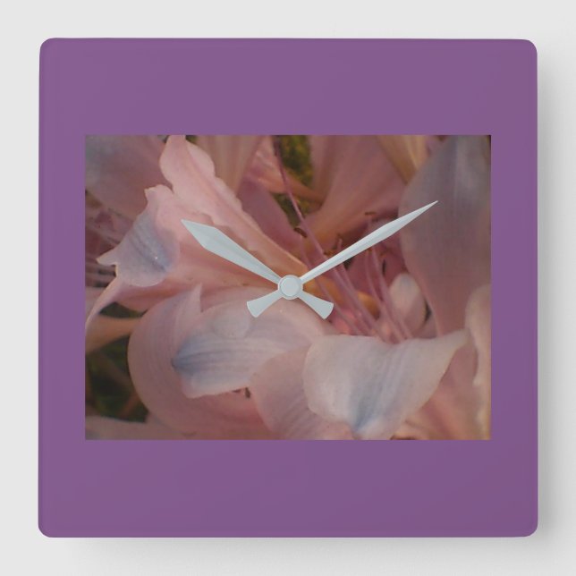 Lila Gerahmte Rosa Lilie Quadratische Wanduhr (Vorderseite)