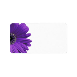 Lila Gerbera Daisy Blank Wedding Address Labels Adressaufkleber