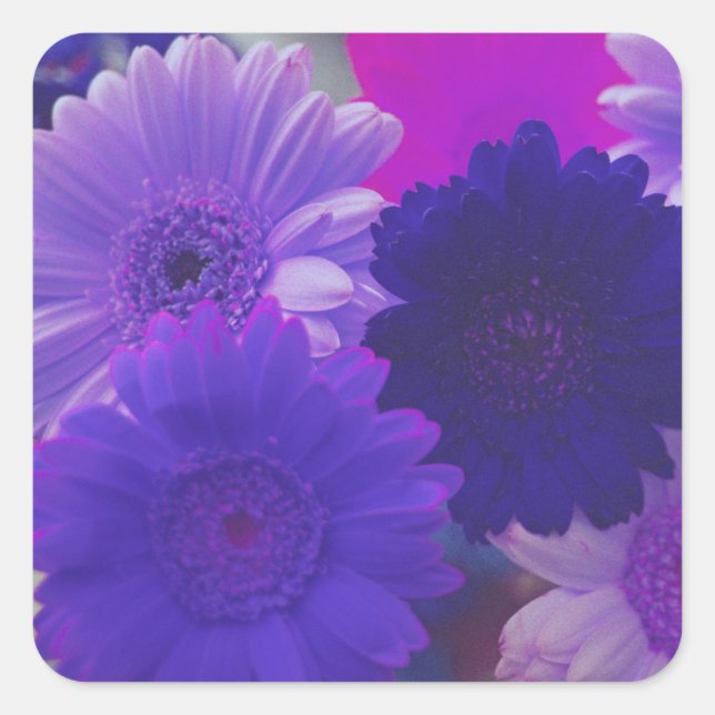 Lila Gerbera Daisy Blume Art Sticker Decals (Vorderseite)