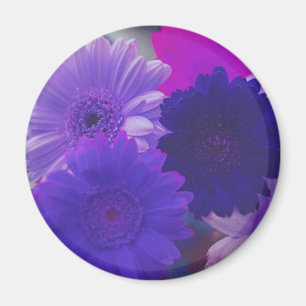 Lila Gerbera Daisy Blume Kühlschrank Magnet