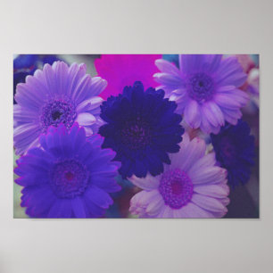 Lila Gerbera Daisy Blume Wall Art Print Poster