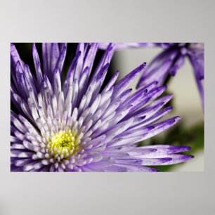 Lila getippte Spirit Mum Poster