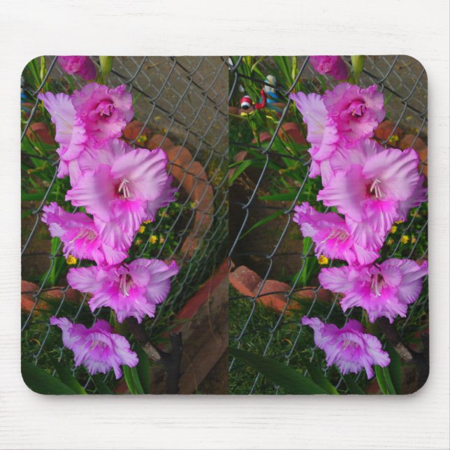 Lila Gladiola Blume Mousepad (Vorne)
